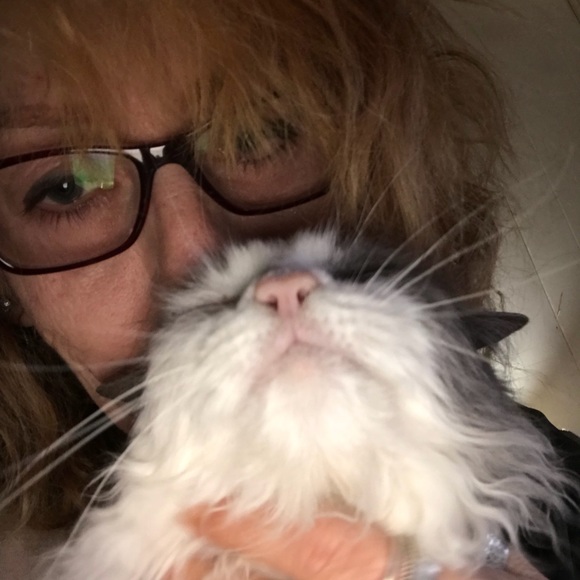 Meet your Posher, Ginny - Picture 2 of 8